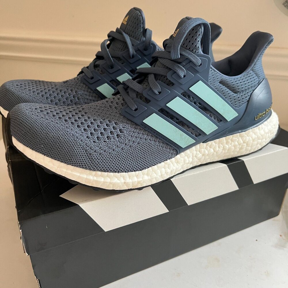 Adidas Mens Ultraboost 1.0 Shoes 10 Navy Primeknit